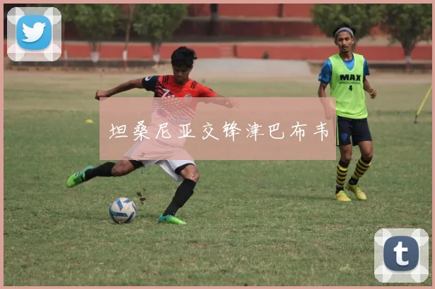 坦桑尼亚交锋津巴布韦