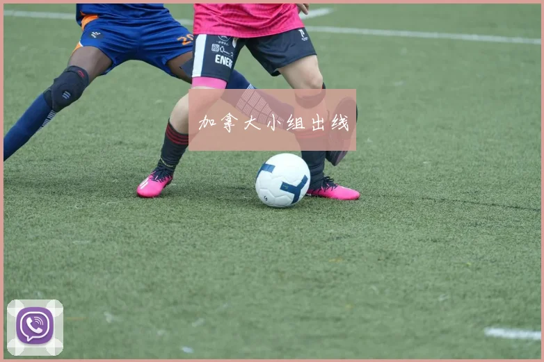 加拿大小组出线