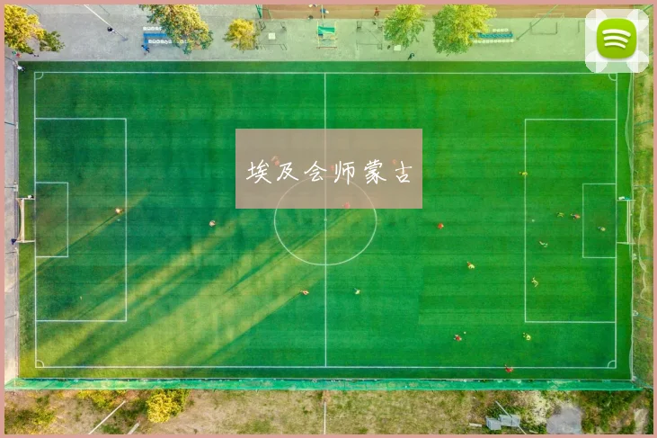 埃及会师蒙古