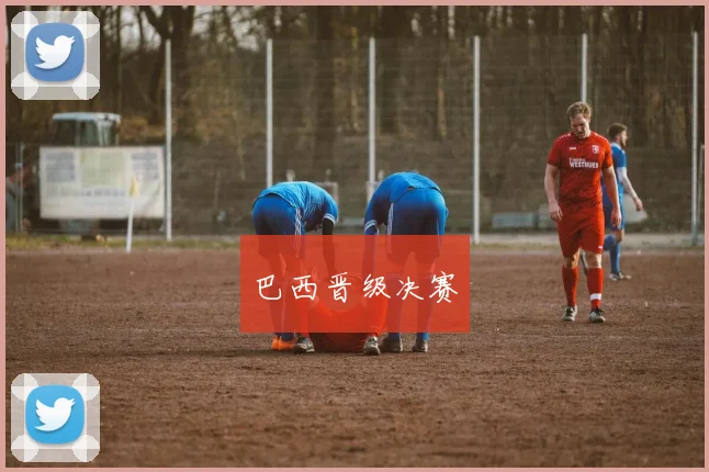 巴西晋级决赛