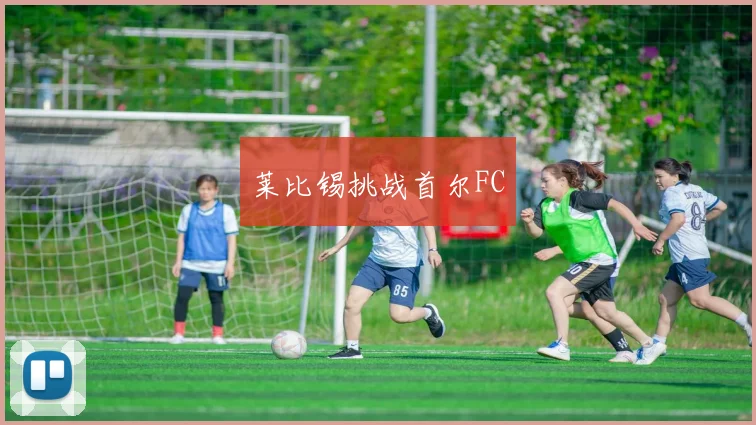 莱比锡挑战首尔FC