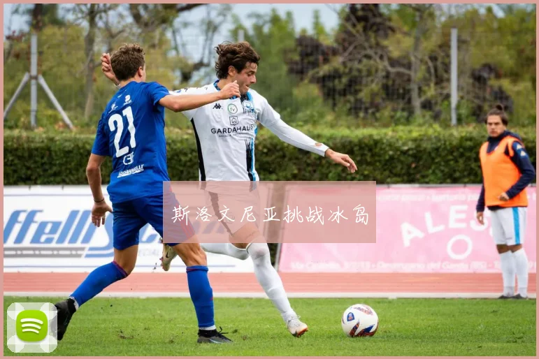 斯洛文尼亚挑战冰岛