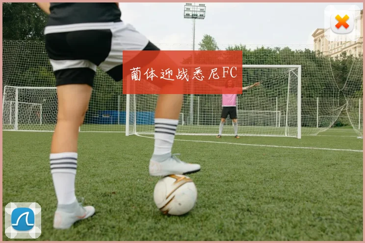 葡体迎战悉尼FC