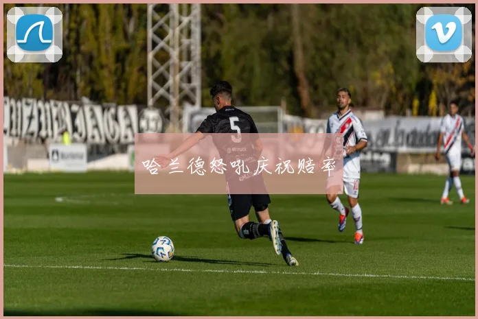 哈兰德怒吼庆祝赔率