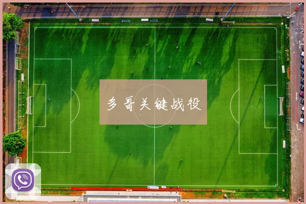 多哥关键战役