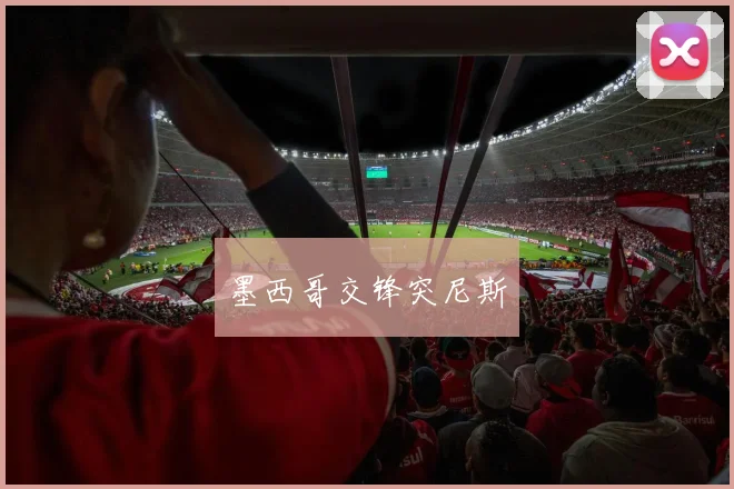 墨西哥交锋突尼斯