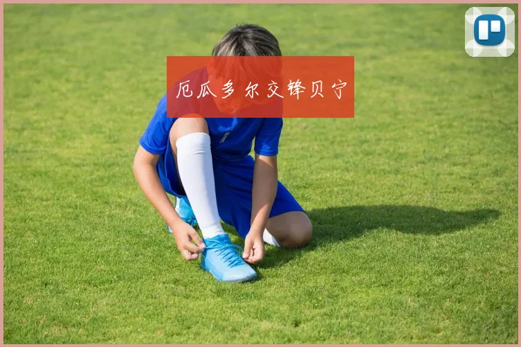 厄瓜多尔交锋贝宁