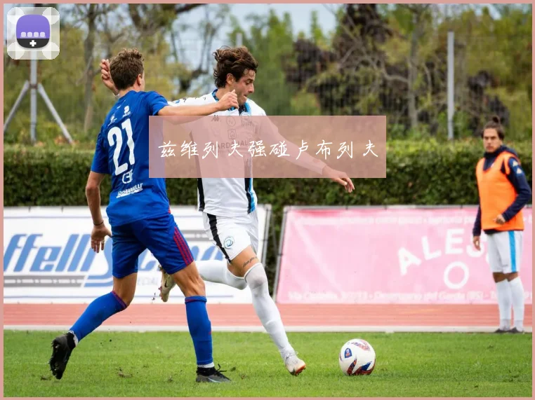 兹维列夫强碰卢布列夫