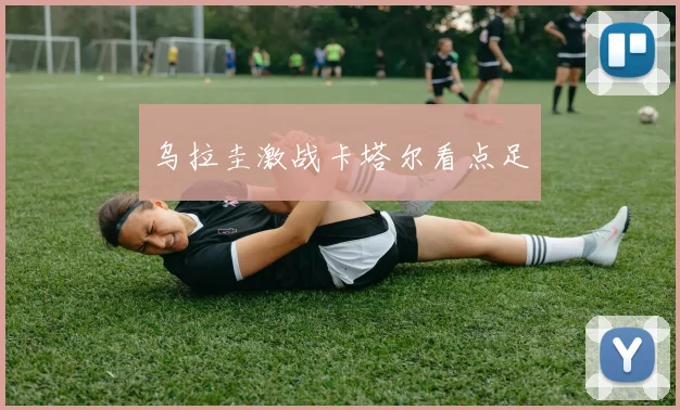 乌拉圭激战卡塔尔看点足