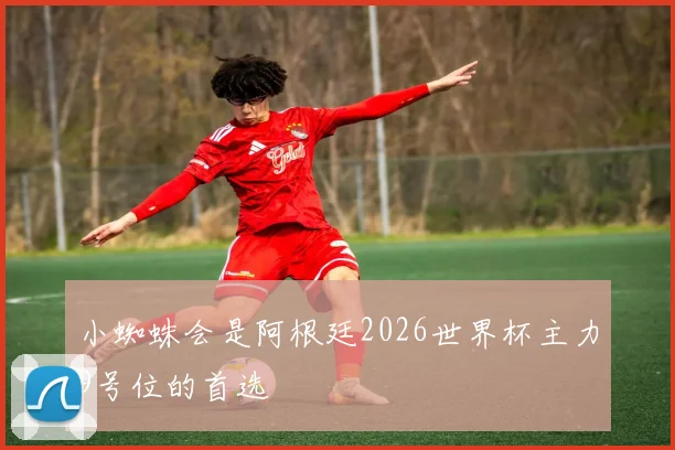 小蜘蛛会是阿根廷2026世界杯主力9号位的首选