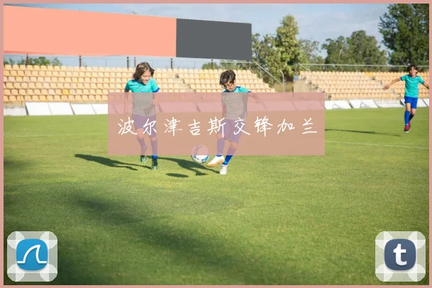 波尔津吉斯交锋加兰
