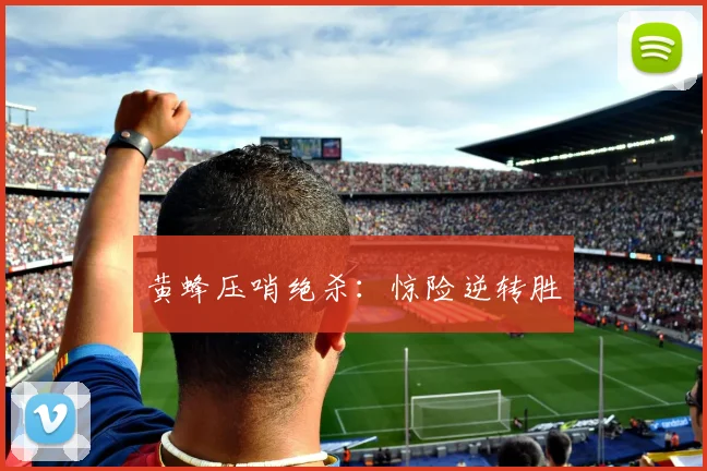 黄蜂压哨绝杀：惊险逆转胜