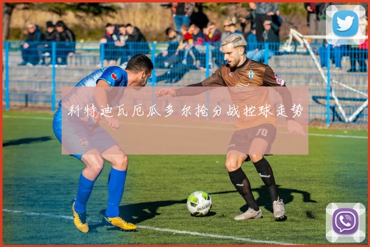科特迪瓦厄瓜多尔抢分战控球走势