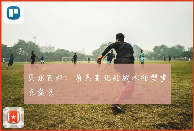 贝尔百科:角色变化的战术转型重点盘点