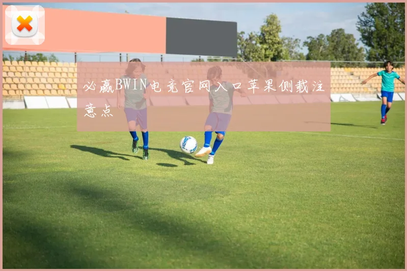 必赢BWIN电竞官网入口苹果侧载注意点